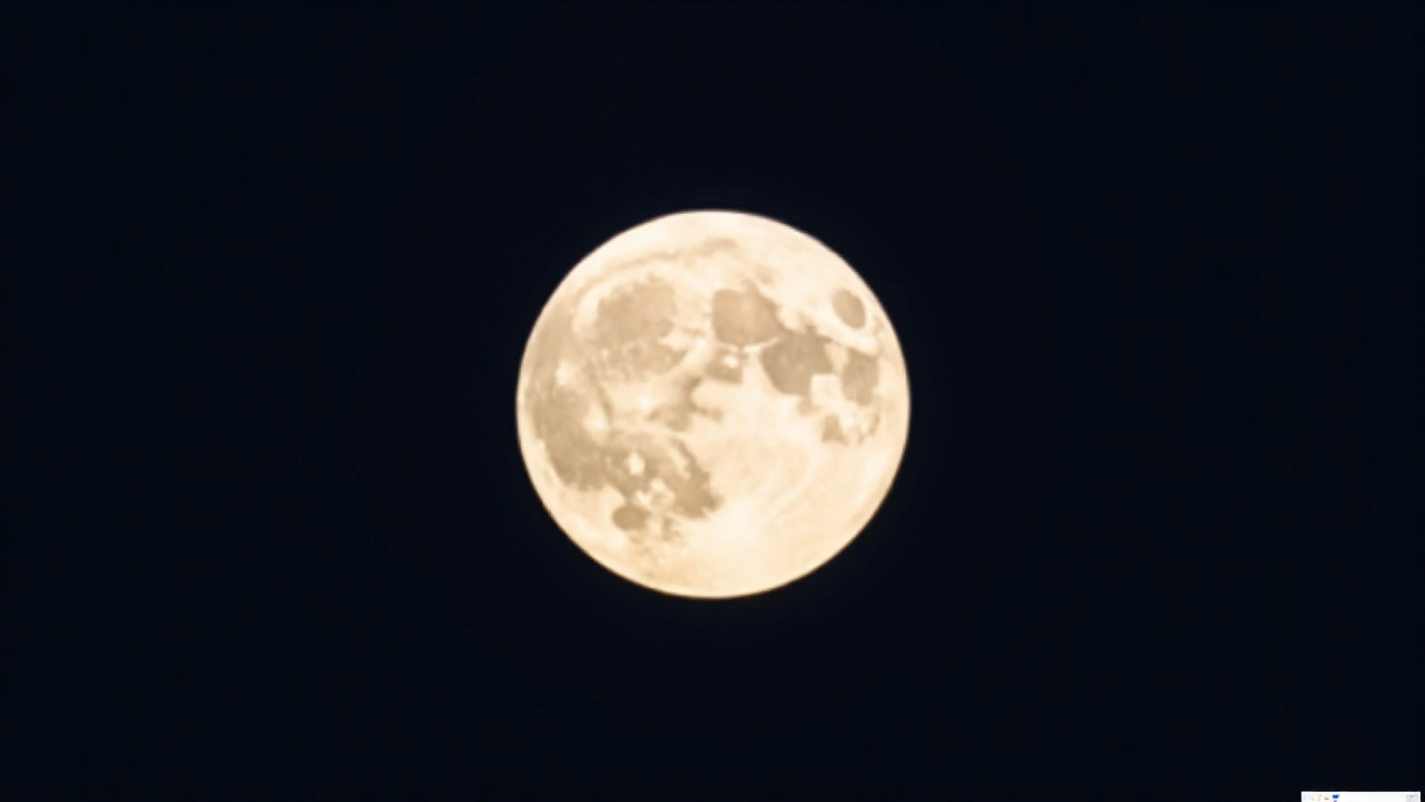Blumenmond im Mai 2025: Was der Micro Flower Moon am 12. Mai wirklich zeigte